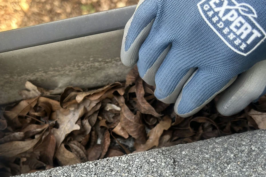 Gutter Cleaning Moncks Corner