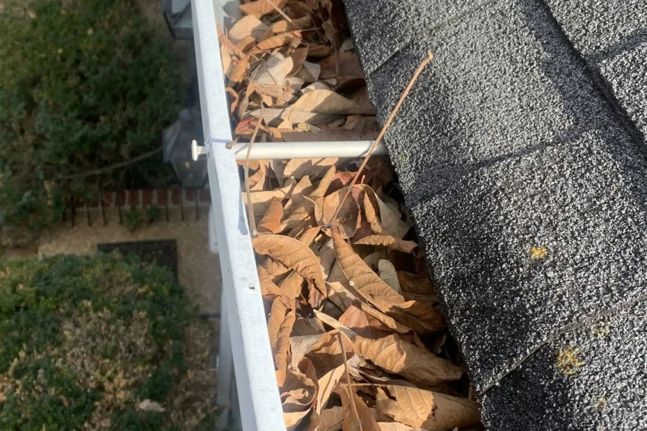 Gutter Cleaning Moncks Corner